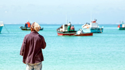 This App Could Be Key to Securing Fisher Livelihoods, Restoring Fish Stocks