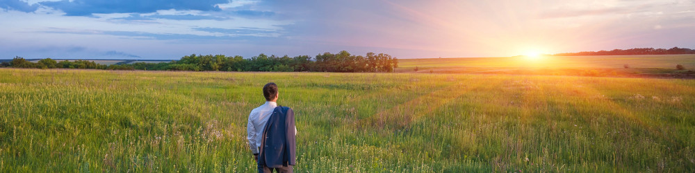 Farm to Plate: How Companies and Consumers are Catalyzing a More Regenerative Food System