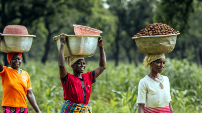 Estée Lauder Companies Advances Financial Literacy for Women in Shea Supply Chain