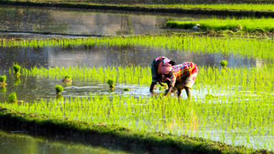 2 New Funds Show Companies, Investors Putting Money Where Their Mouths Are on Biodiversity Commitments