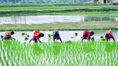 UN Forum on Business and Human Rights, Day 1: ‘The Most Vulnerable Are Always in Your Supply Chain’