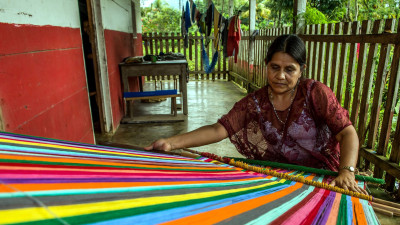 PayPal Joins Catalyst Fund to Explore Connections Between Digital Finance, Climate Resilience