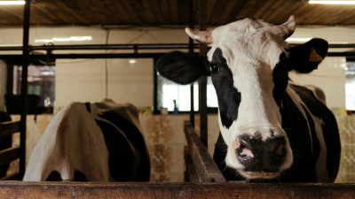 Vermont Family Farm Raises a Crop of Energy and Teaches Us a Lesson