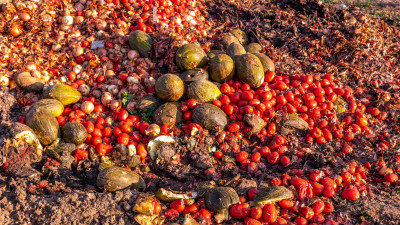 From Landfills to Biogas and Healthier Crops: The Anaerobic Digestion Revolution