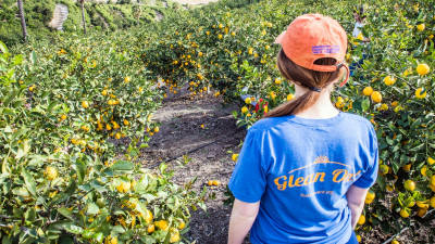 How Circularity, AI Are Mending Cracks in Our Fractured Food System