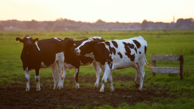 Vermont Creamery Joins National Movement to Turn Food Waste into Renewable Energy