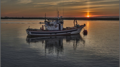 Bumble Bee Foods and SAP Create Blockchain to Track Fresh Fish from Ocean to Table