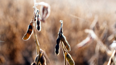 Strengthening Collaboration Between Farmers and Landowners Key to Improving Conservation