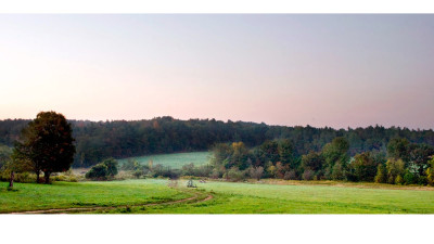 How to Redesign Our Food System for Resilience