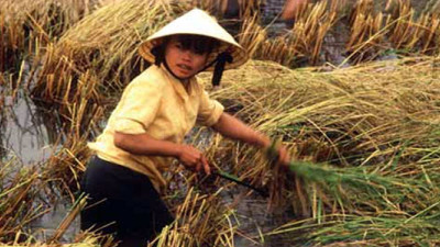 Investment in Women is the Key to Global Food Security