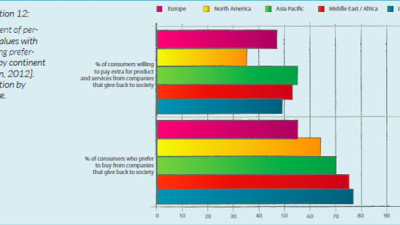 Validating Sustainable Consumption Research: We Don't Know What We Don't Know