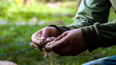 Building Trust to Propel Regenerative Ag Forward: Key
Takeaways from COP28