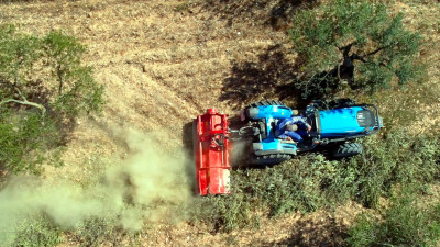 Parts of Future Fords Could Be Made from Olive Waste