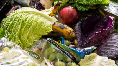 New Tool Tracks US Food-Waste Legislation Landscape